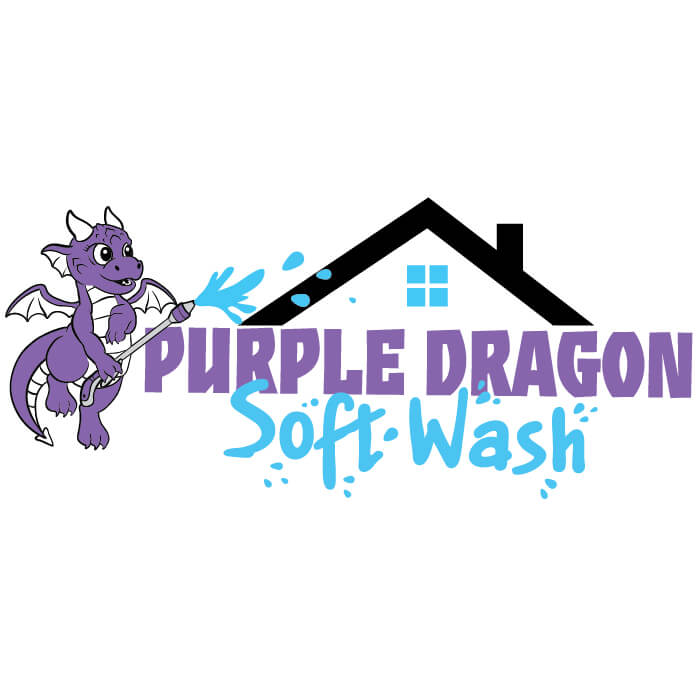 Purple Dragon Soft-Wash