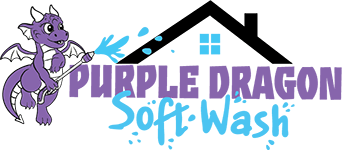 Purple Dragon Soft-Wash