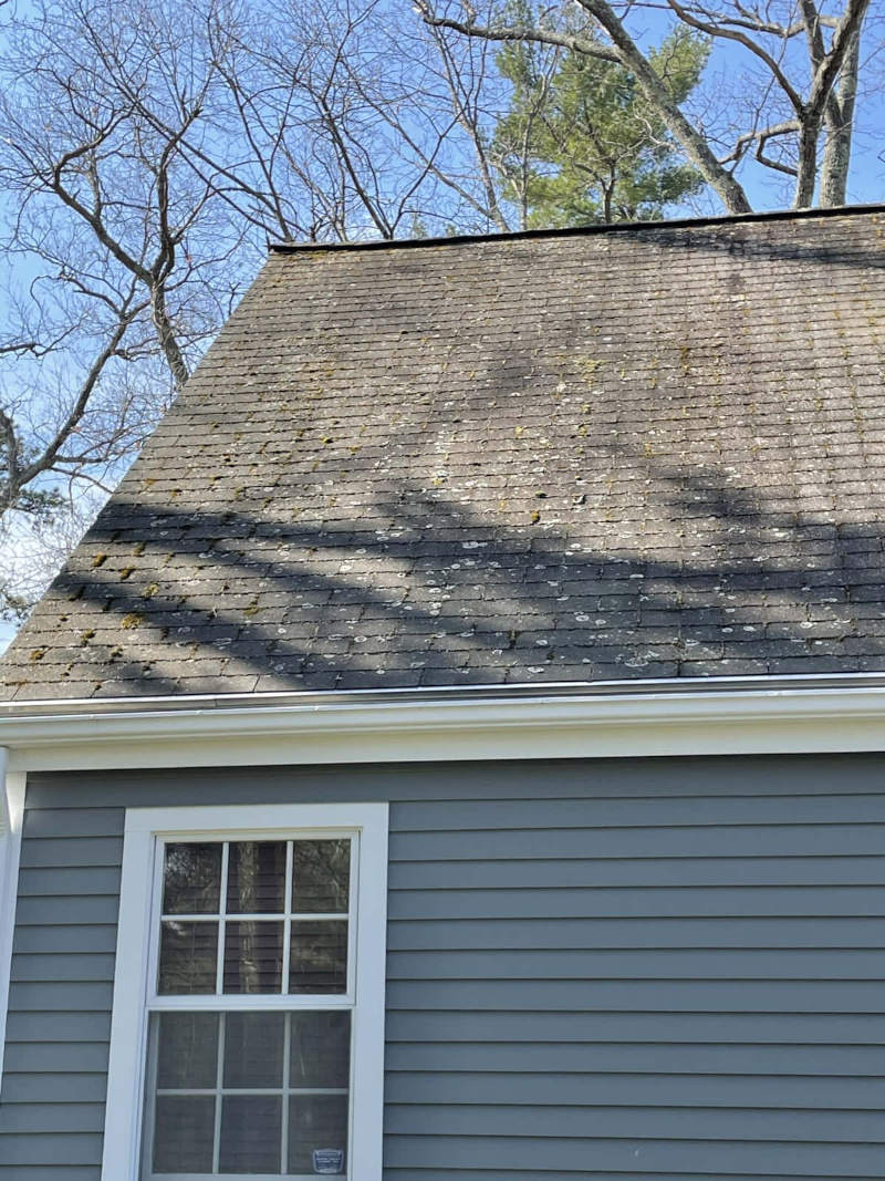 Roof Cleaning in Middlesex County, Massachusetts