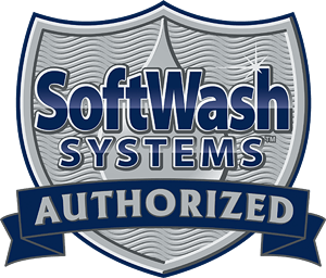 Purple Dragon Soft-Wash